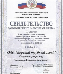 Борский трубный завод (БТЗ)