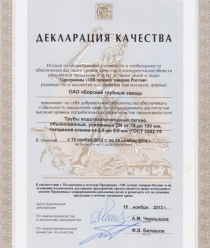 Борский трубный завод (БТЗ)