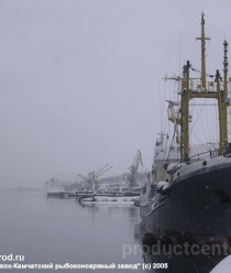 Петропавловск-Камчатский рыбоконсервный завод
