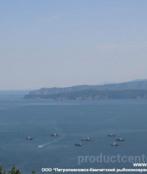 Петропавловск-Камчатский рыбоконсервный завод
