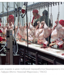 Башкирский птицеводческий комплекс