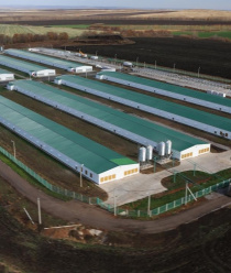 Башкирский птицеводческий комплекс