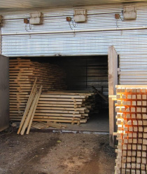 Эколестница