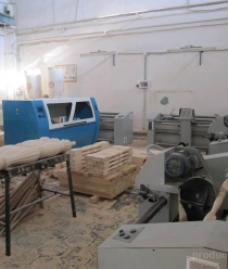 Эколестница