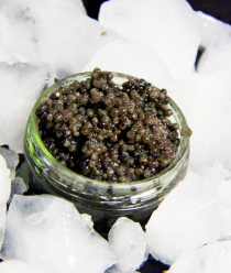 АНПКФ Аквалайф