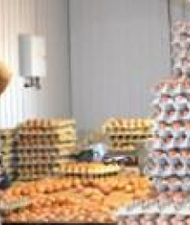 Птицефабрика Харабалинская