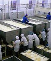 Киржачский молочный завод