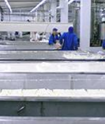 Киржачский молочный завод