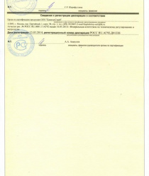 Пластмасыч