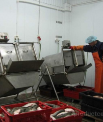 Альфа-Миус-2