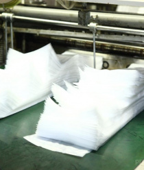 Премьер Пак