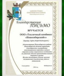 Новосибирский