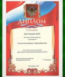 Новосибирский