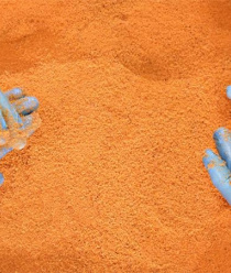 Фамильный стандарт