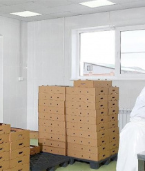 Фамильный стандарт