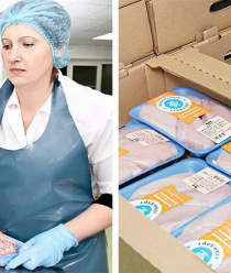 Фамильный стандарт