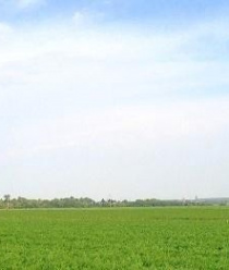 Плодоовощная компания