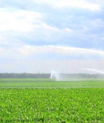 Плодоовощная компания