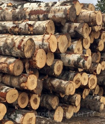 Инвест Групп