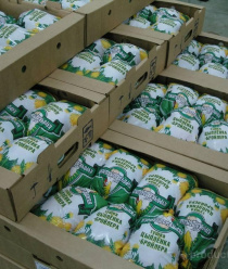 Паритет Вятка