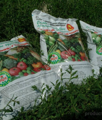 Паритет Вятка