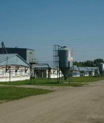 Паритет Вятка