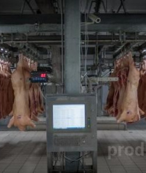 Знаменский СГЦ