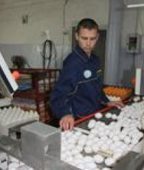 Белореченское