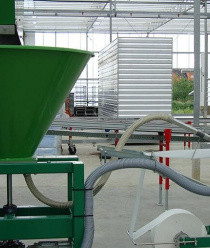 Московский