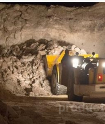 Пешеланский гипсовый завод