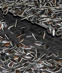 Ростовская Снэковая Компания