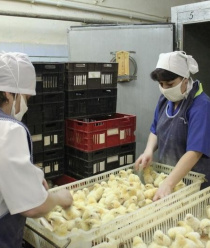 Птицефабрика Среднеуральская