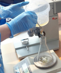 Лесные продукты