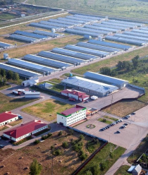 Тимашевская птицефабрика