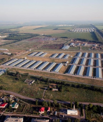 Тимашевская птицефабрика