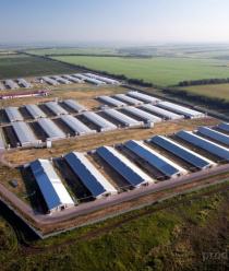 Тимашевская птицефабрика