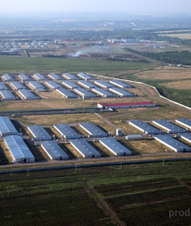 Тимашевская птицефабрика