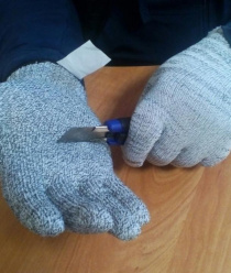 Защитная линия