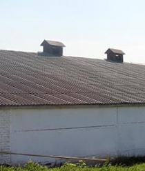 Птицефабрика Моргаушская