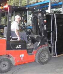 Семена Алтая