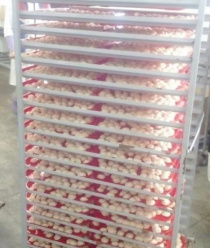 Мясокомбинат Чистоозерный