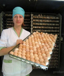 Птицефабрика Первоуральская