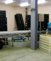 Птицефабрика Первоуральская