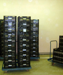 Птицефабрика Первоуральская