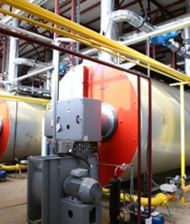 Тепличный Комплекс Белогорья