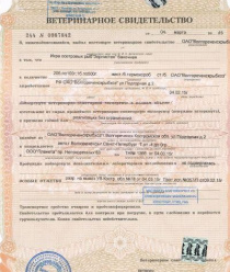 Морской продукт