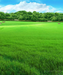 Кизлярагрокомплекс