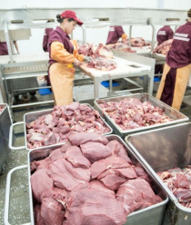 Агрызский мясокомбинат