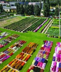 Русский Огород-НК