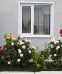 Полимерные Материалы и Композиты